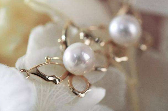 珍珠的种类分为几种 拍玉网